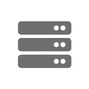 icon Physical Private Server